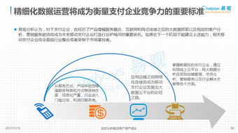 2017年第三方支付行业报告 洞察行业发展，把握未来机遇